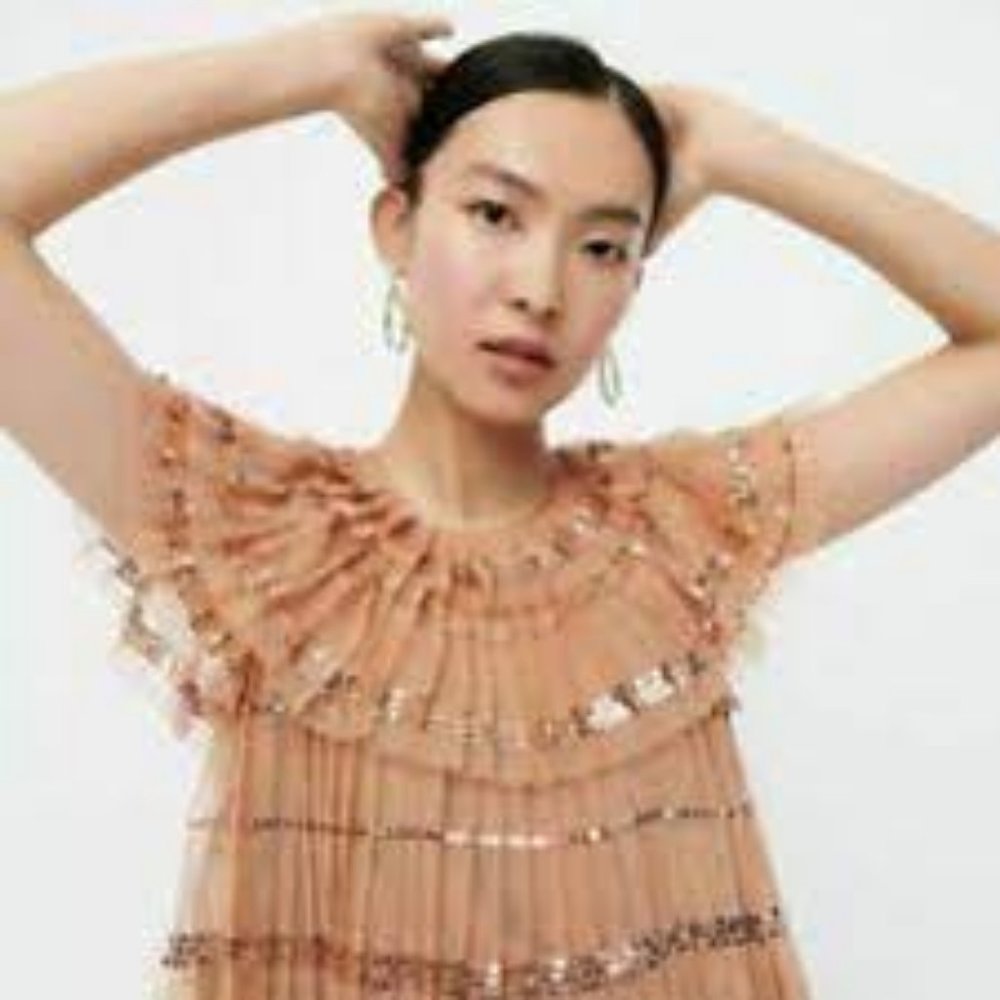 JCrew Collection Sequin Tiered Tulle Blouse